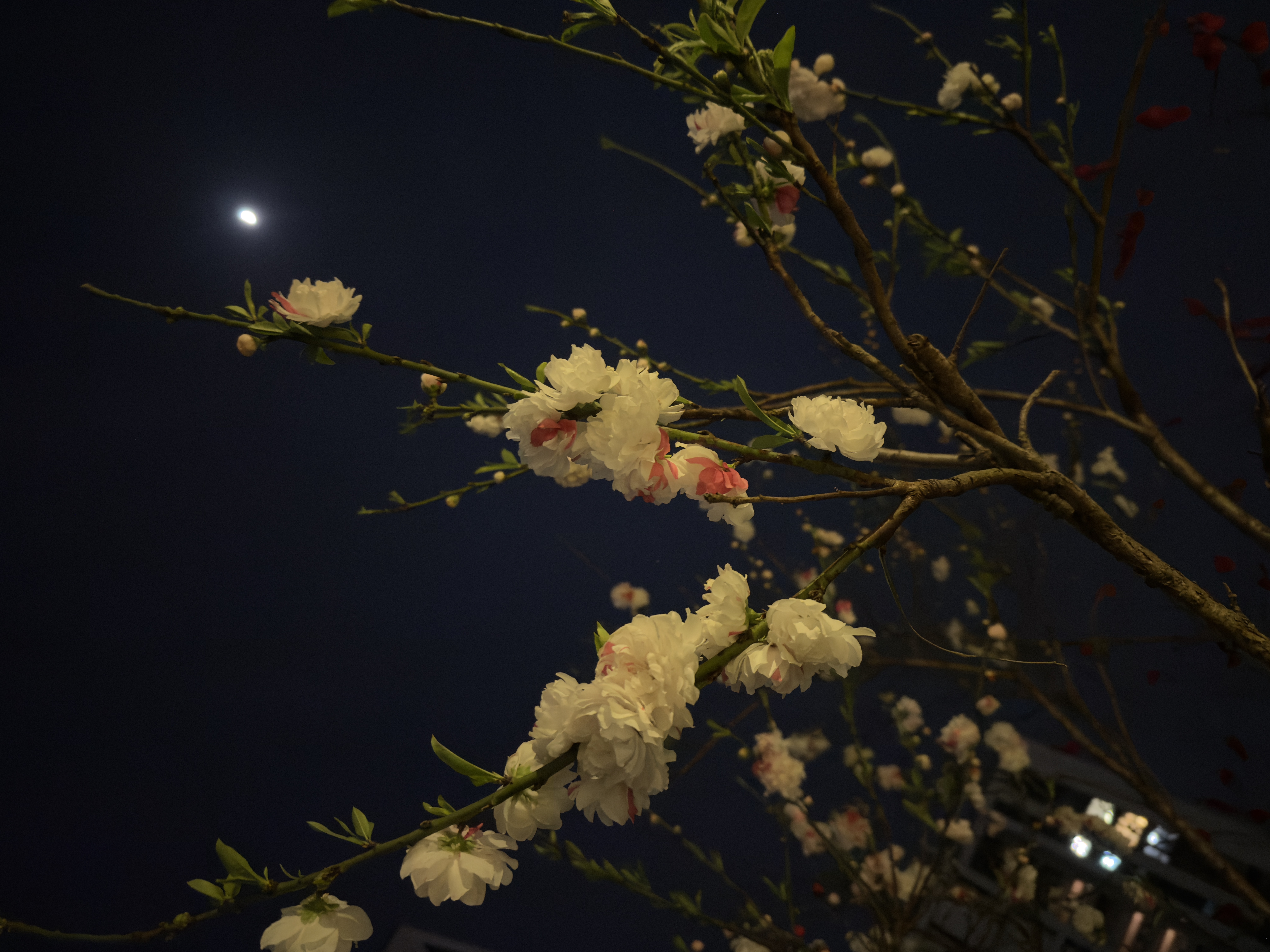 tweet/1KkktvGbC-9vUecN