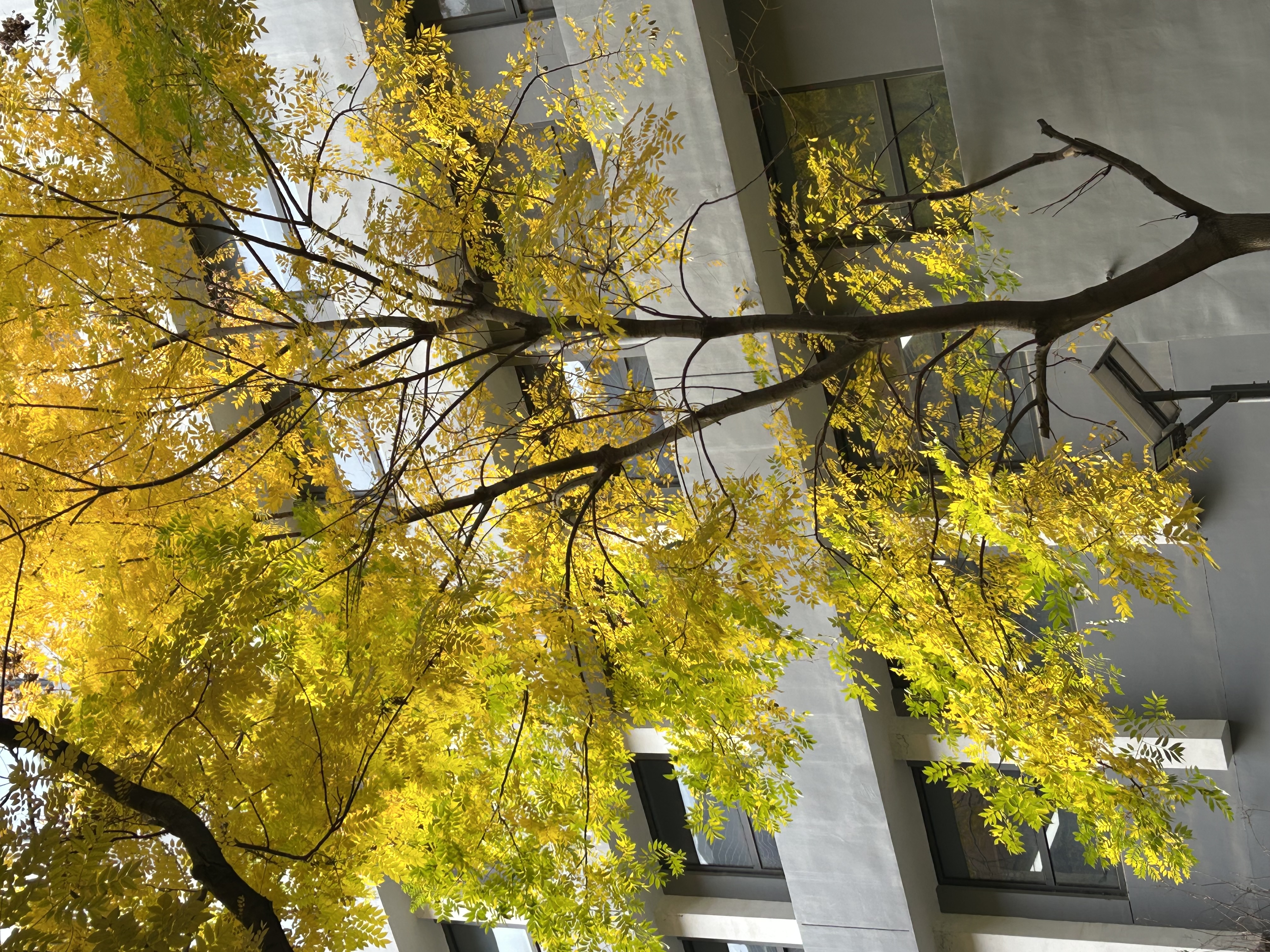 tweet/DFtb60RsSGcrJNy2