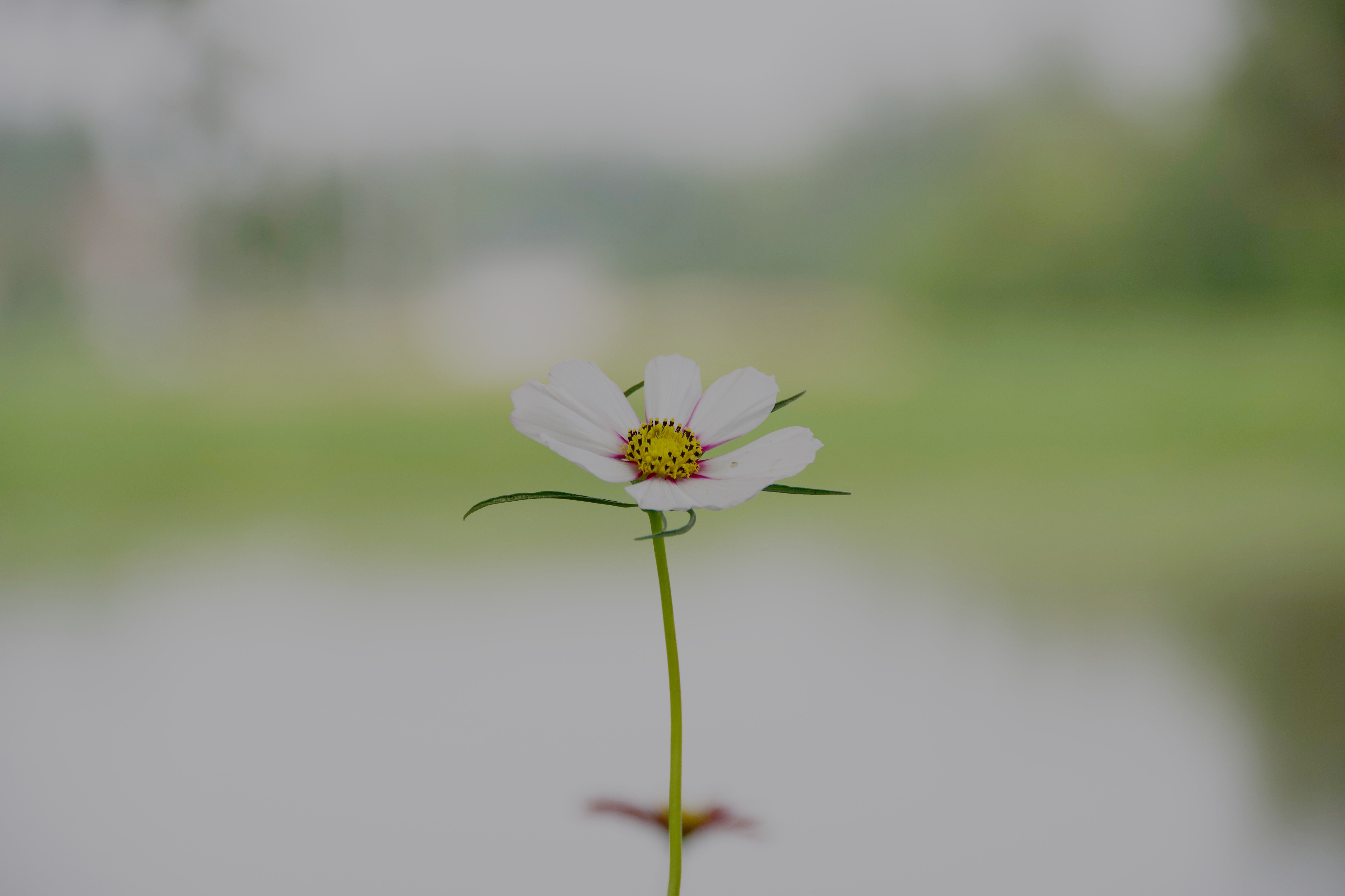 tweet/P6pvF2UbQOHEn8Jh