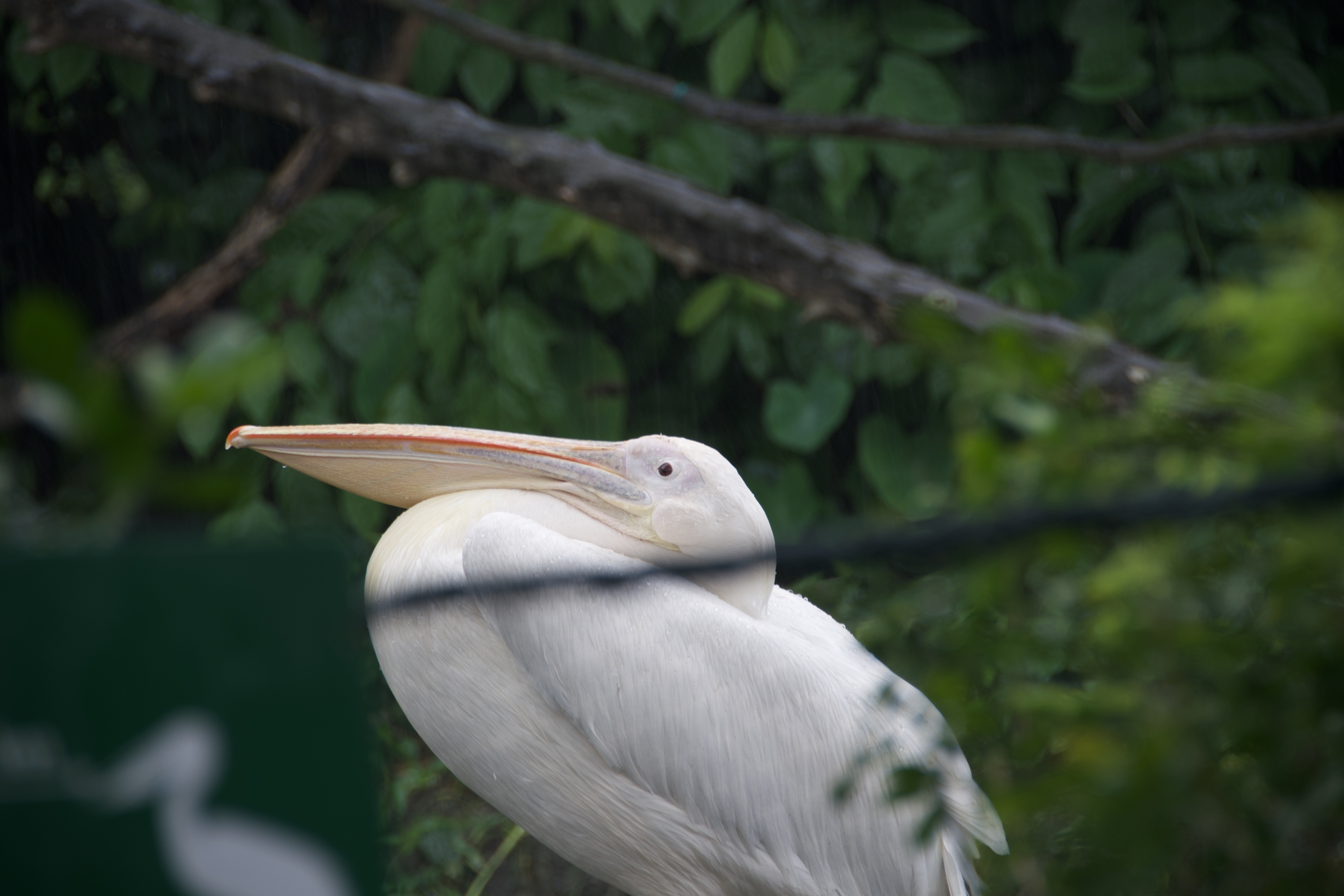 tweet/Y5xNX7FIEecdWZjW