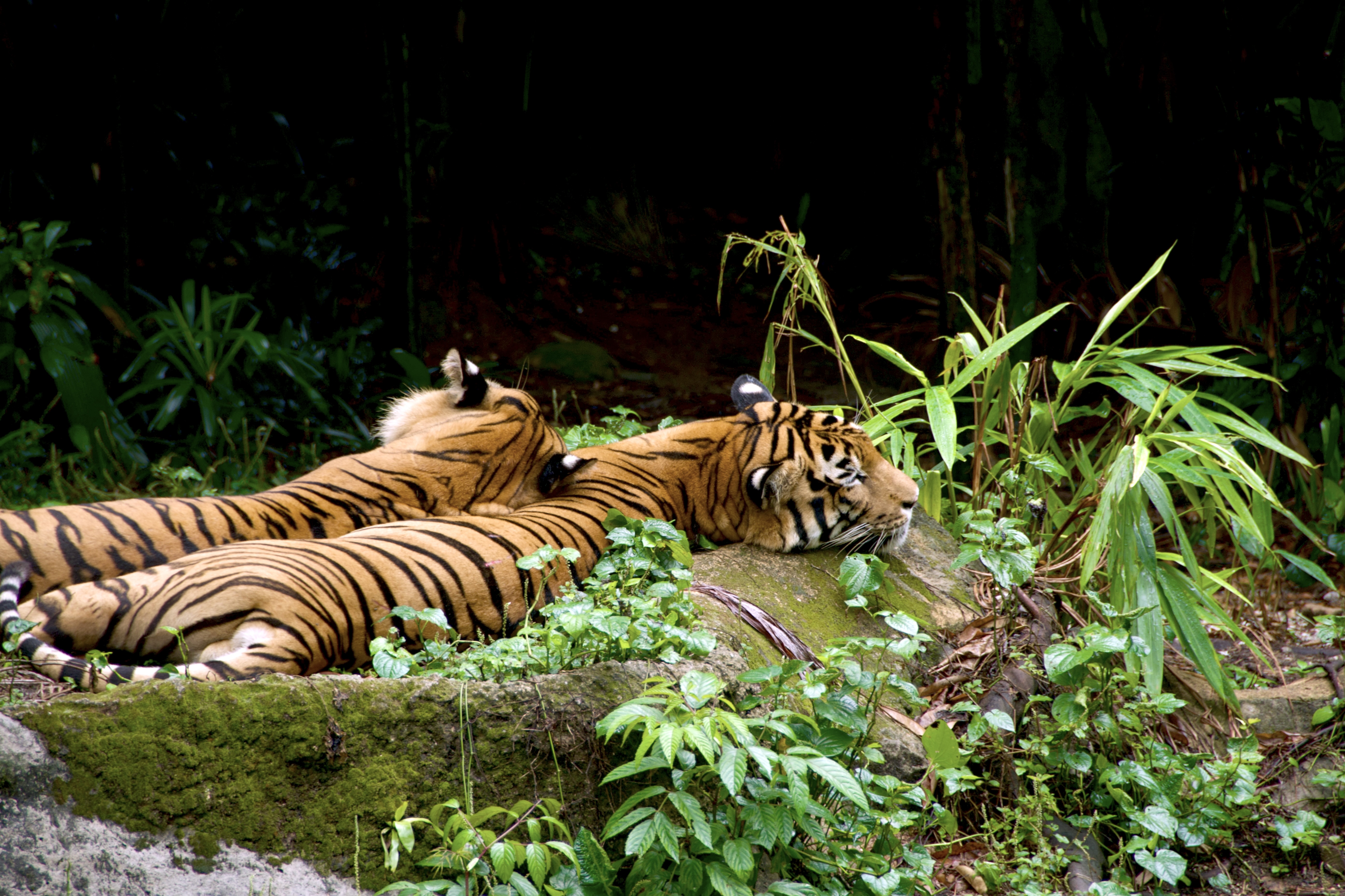 tweet/b7IAIjK9A5wKhPSs