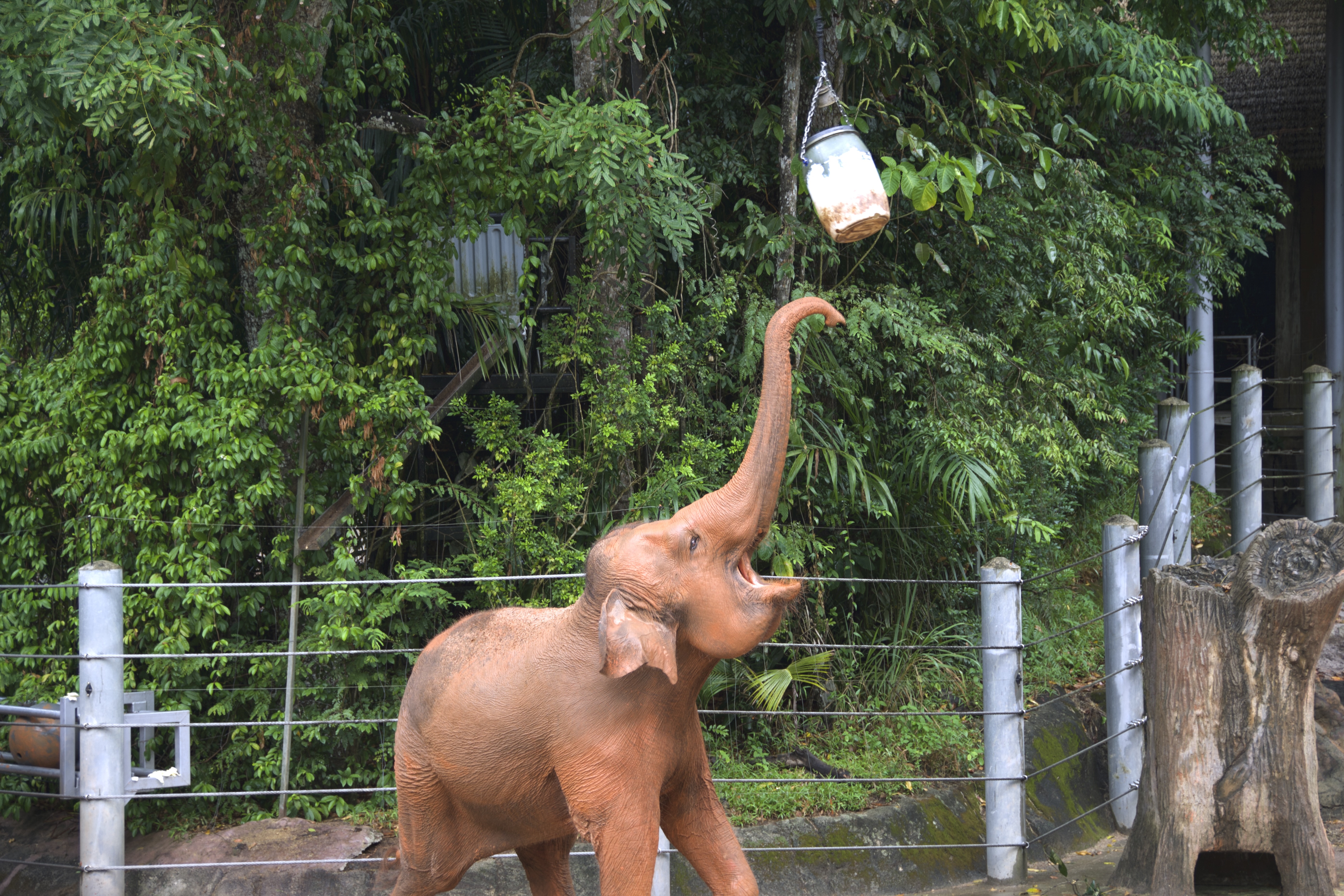 tweet/juBVoZRsogkxRA8V