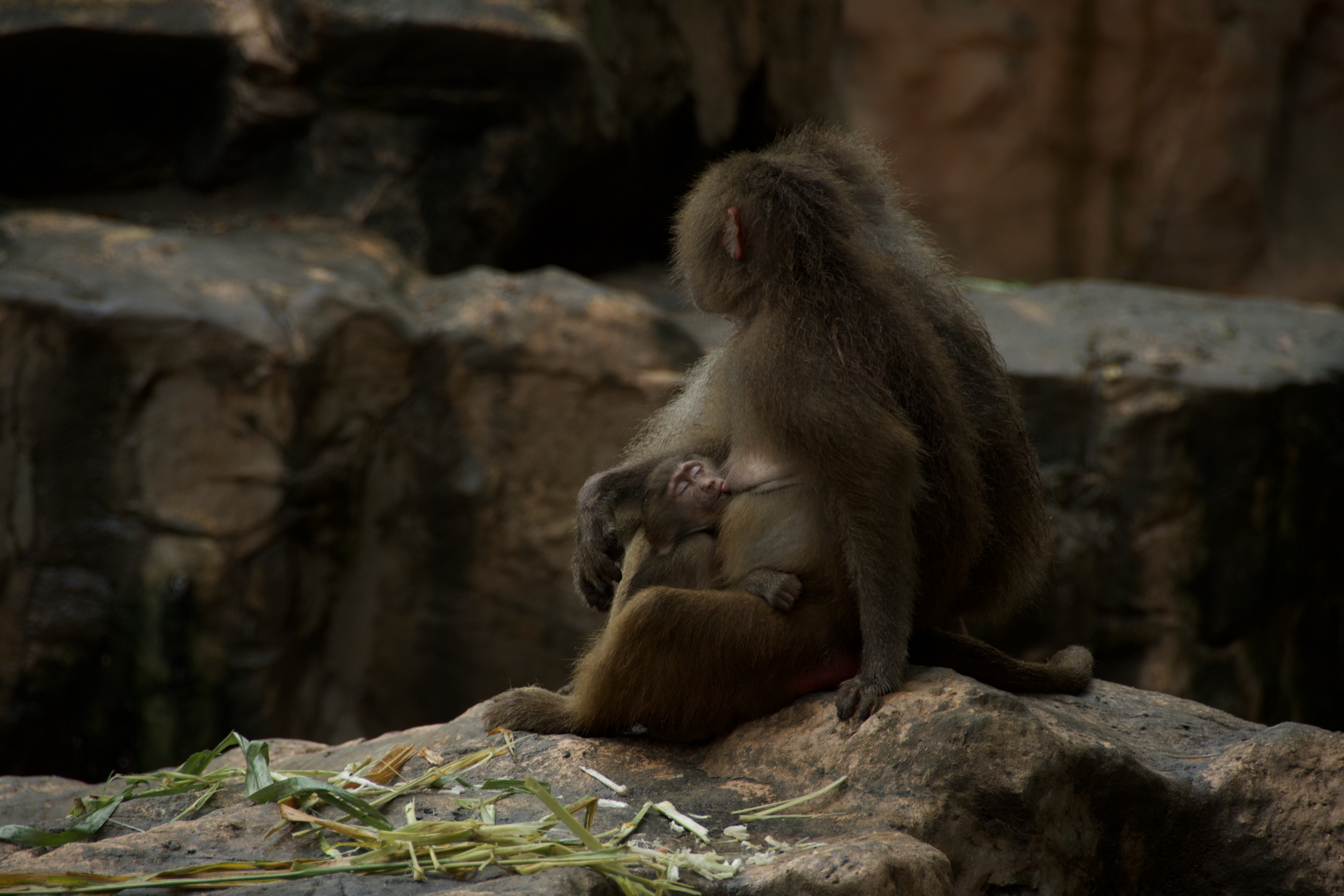 tweet/ldPotr69z5GJD3TJ